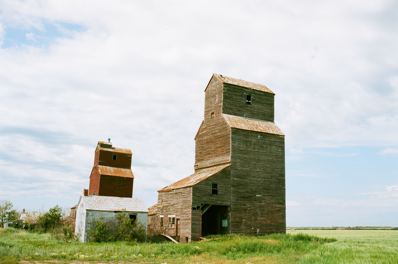 Lepine
